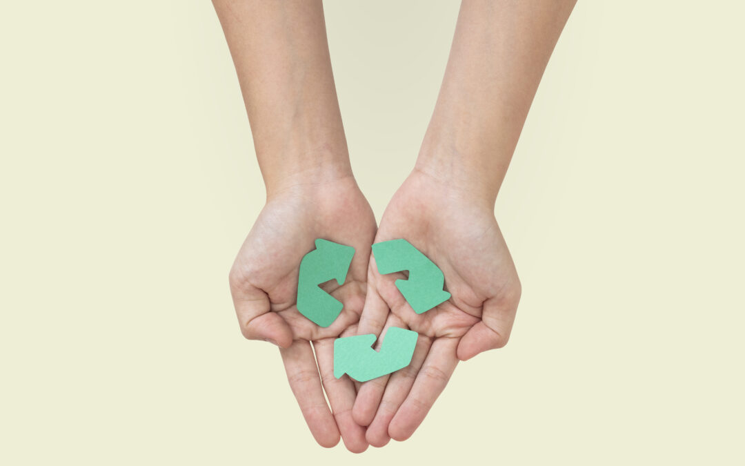 Rediseñar o desaparecer: Una guía para incorporar el diseño circular a tu modelo de negocio