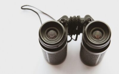 Adoptar no es adaptar