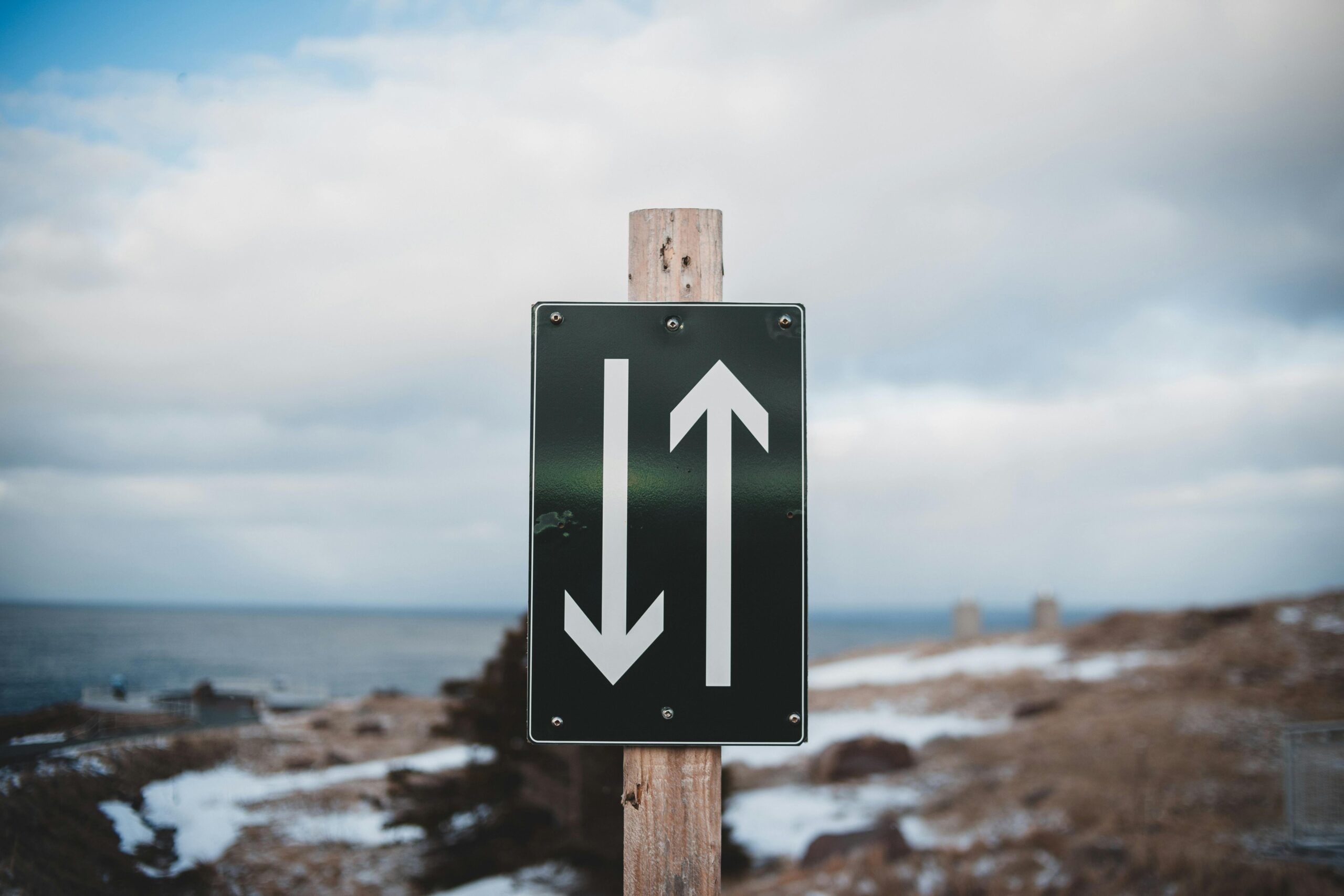 toma de decisiones en las organizaciones